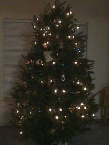 O Christmas Tree...